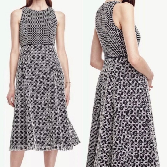Sz4 Elegant Ann Taylor Navy and White Sleeveless Dress - Picture 1 of 9